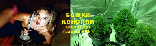 spice Гусиноозёрск