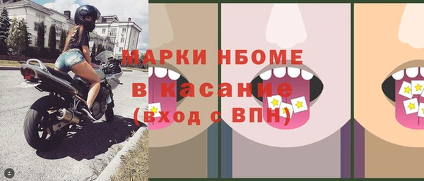 гидра Горняк