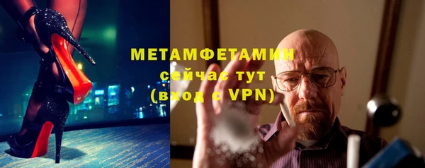 гидра Горняк