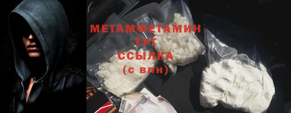 гидра Горняк