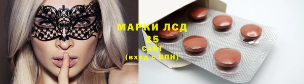 гидра Горняк