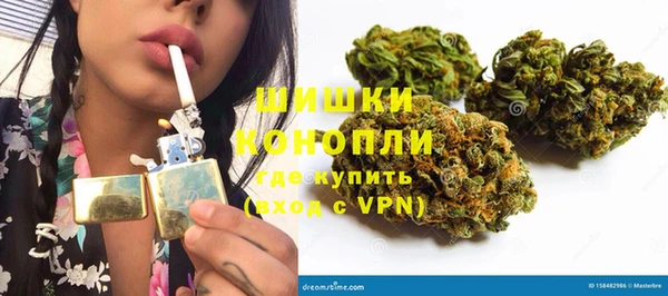 ПСИЛОЦИБИНОВЫЕ ГРИБЫ Горнозаводск