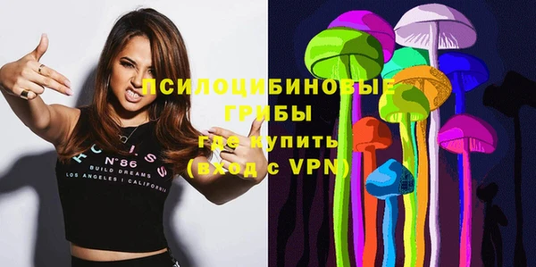 ПСИЛОЦИБИНОВЫЕ ГРИБЫ Горнозаводск