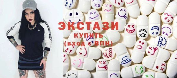 гидра Горняк