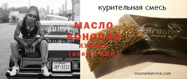 гидра Горняк