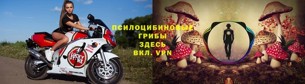 гидра Горняк