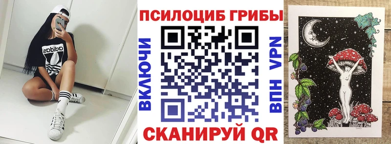 Галлюциногенные грибы мухоморы  hydra как зайти  Жердевка 
